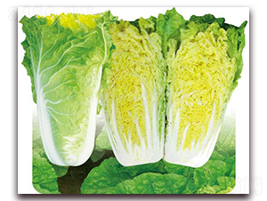 ��{58-�ײ˷N��-�����o(j��)