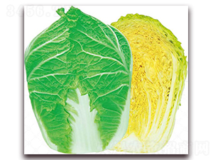 ��{�ʹ�-�ײ˷N��-�����o(j��)