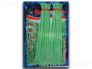 南繁傳奇-豇豆種子-杰優(yōu)種業(yè)