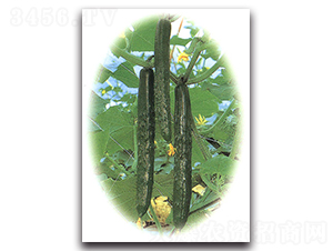 �Gʒ��̖(h��o)-�S�ϷN��-�r(n��ng)����