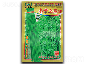南繁之星-豇豆種子-杰優(yōu)種業(yè)