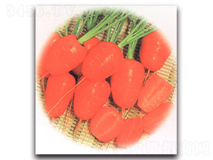 �����˅�-���}���N��-�r(n��ng)����