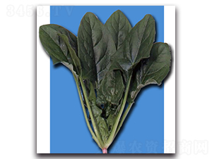 ����-���˷N��-�r(n��ng)����