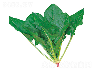 ���O-���˷N��-�r(n��ng)����