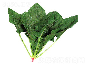 ����(gu��)-���˷N��-�r(n��ng)����