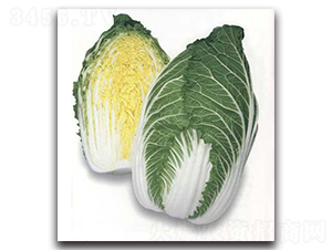 ���\-��ײ˷N��-�r(n��ng)����