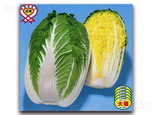 �츣�OƷ-��ײ˷N��-�r(n��ng)����