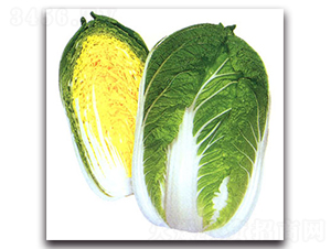 �Ͳ��츣-��ײ˷N��-�r(n��ng)����