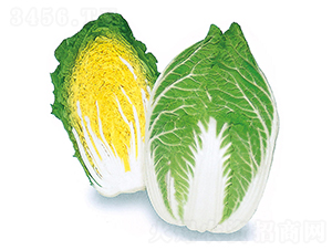 ���\-��ײ˷N��-�r(n��ng)����