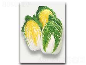 ���\-��ײ˷N��-�r����