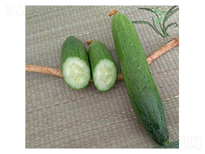 �Q��-�S�ϷN��-���N