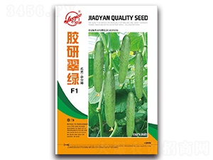 �z�д�G-�S�ϷN��-�z��