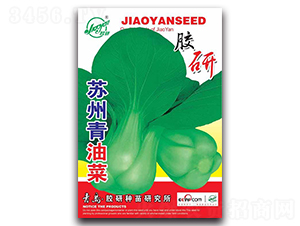 �K�����Ͳ�-�Ͳ˷N��-�z��