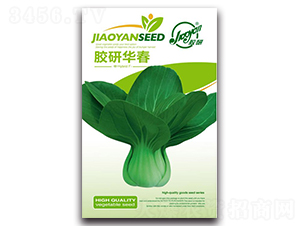 �z���A��-�Ͳ˷N��-�z��