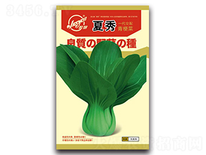 �����Ͳ�-�Ͳ˷N��-�z��