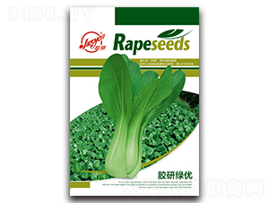 �z�оG��(y��u)-�Ͳ˷N��-�z��