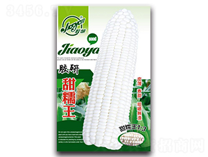 �z����Ŵ��-Ŵ���׷N��-�z��