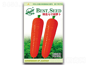 ���x�ߴ���}��-�}���N��-�z��