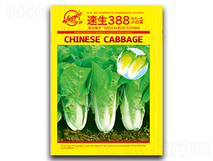 ����388-С�ײ˷N��-�z��