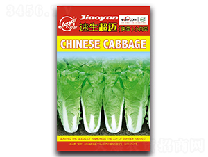 �������~����ˣ�-С�ײ˷N��-�z��