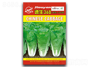 ����368-С�ײ˷N��-�z��