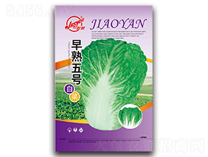 ������̖(h��o)�ײ�-С�ײ˷N��-�z��