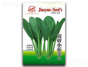 �z��Сݿ��-С�ײ˷N��-�z��