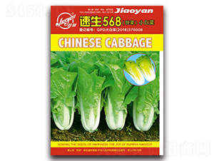 ����568-С�ײ˷N��-�z��