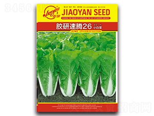 �z�����v26С�ײ�-С�ײ˷N��-�z��