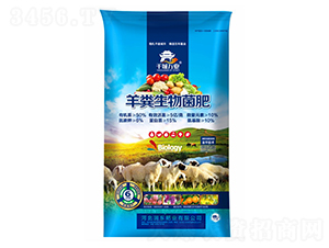 ��S�������-���|�ʘI(y��)