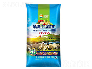 45%��S�������-���|�ʘI(y��)