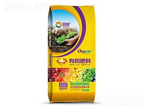 �۠��ЙC��-ӭ��-���|�ʘI(y��)