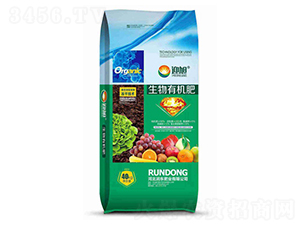 �����ЙC(j��)��-ӭ��-���|�ʘI(y��)