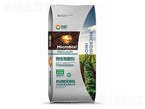 ΢�������-ӭ��-��(r��n)�|�ʘI(y��)