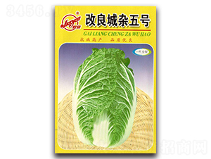 �������s��̖(h��o)-�ﲥ�ײ˷N��-�z��