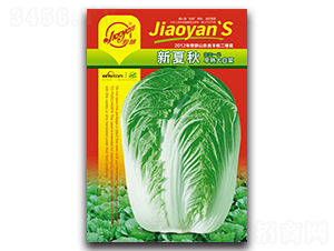 ������-�ﲥ�ײ˷N��-�z��