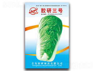 �z����̖(h��o)-�ﲥ�ײ˷N��-�z��