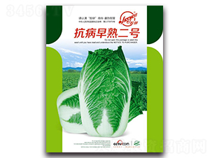 ���������̖(h��o)-�ﲥ�ײ˷N��-�z��