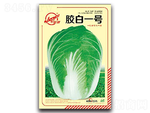 �z��һ̖(h��o)-�ﲥ�ײ˷N��-�z��