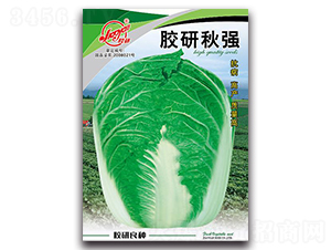 �z���(qi��ng)-�ﲥ�ײ˷N��-�z��