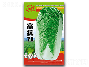 �߿�78-�ﲥ�ײ˷N��-�z��