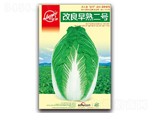 ���������̖-�ﲥ�ײ˷N��-�z��