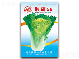 �z��56-�ﲥ�ײ˷N��-�z��