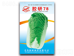 �z��78-�ﲥ�ײ˷N��-�z��