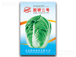 �z�ж�̖-�ﲥ�ײ˷N��-�z��