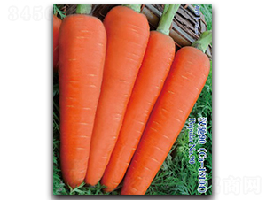 �h�Y90-���}���N��-�h��