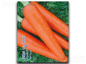 �h�Y95-���}���N��-�h��