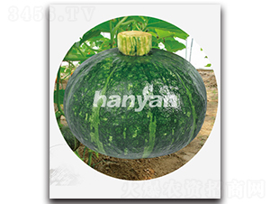 �h���ڌ�-�ϹϷN��-�h��