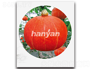 �h���t��-�ϹϷN��-�h��