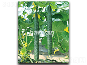 �h��10̖(h��o)-�S�ϷN��-�h��